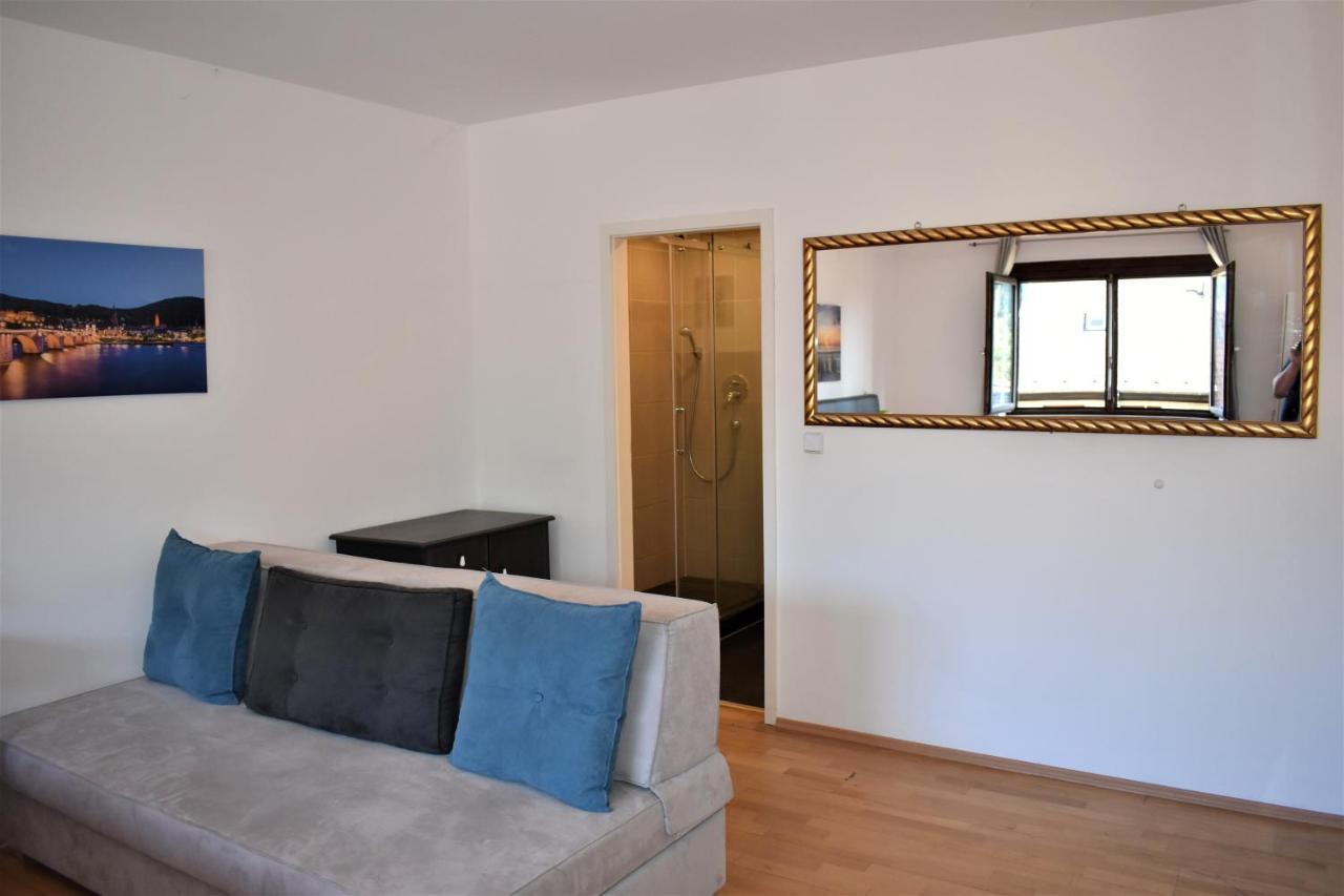 Altstadtblick Heidelberg Kültér fotó